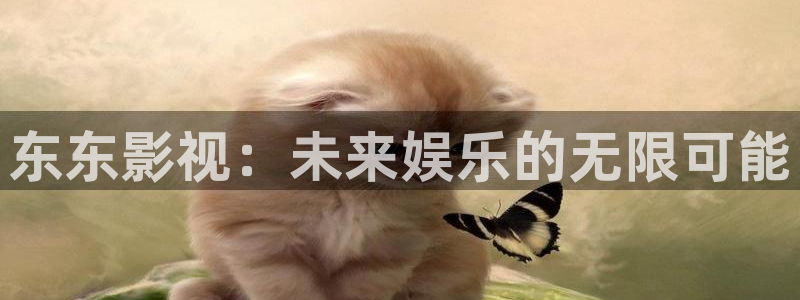 晴天影视下载免费