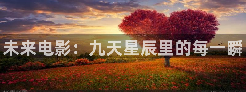 夏日友晴天免费完整版在线观看