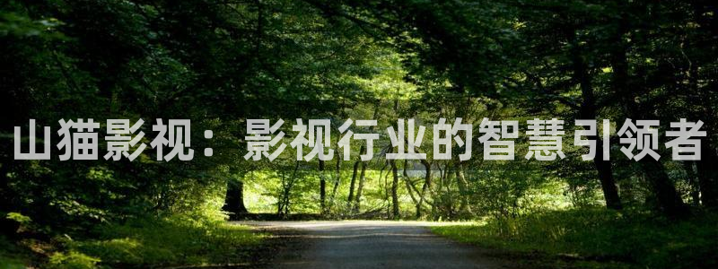 晴天影视软件