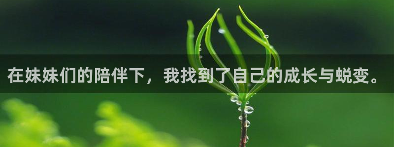 电影月之晴天