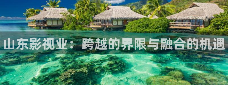 晴天影视高清：山东影视业：跨越的界限与融合的机遇