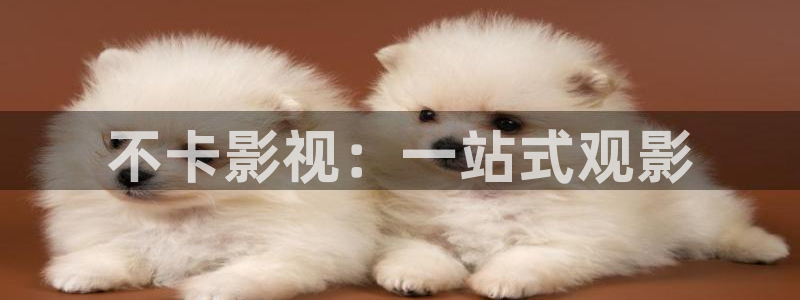 晴天影视下载最新版本：不卡影视：一站式观影