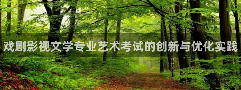 晴天影视官网下载：戏剧影视文学专业艺术考试的创新与优化实践