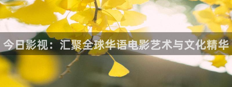 晴天影视在线免费观看：今日影视：汇聚全球华语电影艺术与文化精华