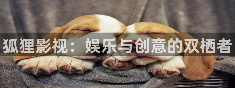 晴天影视软件：狐狸影视：娱乐与创意的双栖者